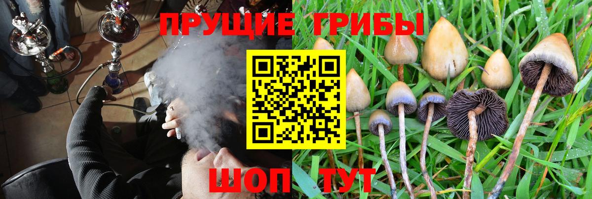 даркнет сайт  Псилоцибиновые грибы Magic Shrooms  Вход с VPN  Вятские Поляны 
