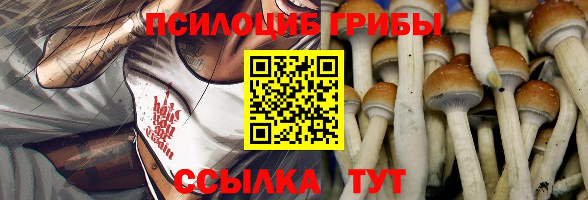 Галлюциногенные грибы Psilocybine cubensis Вятские Поляны